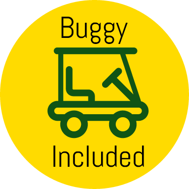 Buggy included